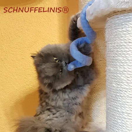 Giocattoli per gatti feltro, corda gatti, gatti, ditta di giocattoli
