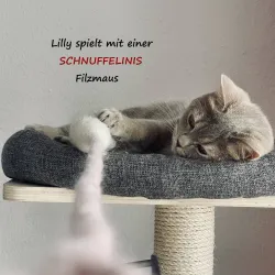 Maus gefilzt, Katzenspielzeug Filz Maus grau, graue Mäuse Katzenspielzeug