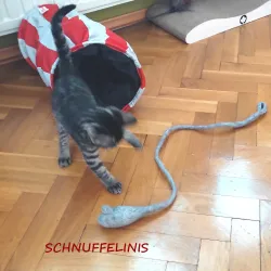 Maus gefilzt, Katzenspielzeug Filz Maus grau, graue Mäuse Katzenspielzeug