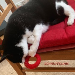 Filzringe Regenbogen 2 Größen, Katzenspielzeug Filz Ring