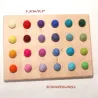 Montessori wooden colour sorting board