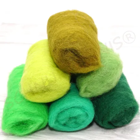 Felt DIY Kit, Starter set, felting, green felting wool, Waldorf wool