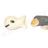 Des visages de poisson de bonne humeur, Anneau d'anniversaire