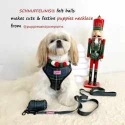 Filzkugeln Hundhalsbänder, Advent festliche Geschenke, DIY Halsband