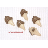 Sonderangebot Knöpfe 50gr. Kinder Mix Schnuffelinis