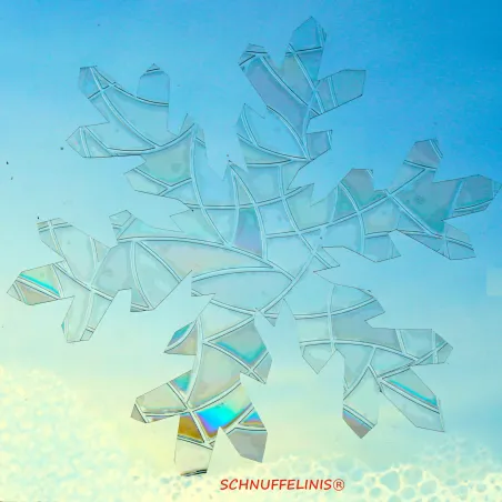 Suncatcher rainbow window pictures snowflake