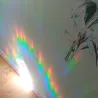 Suncatcher rainbow window pictures dog wolf