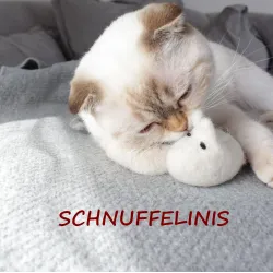 Topo di feltro giocattolo per gatti bianco