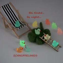 Miniature ducks, decorative for gnomes, bathing ducks miniature