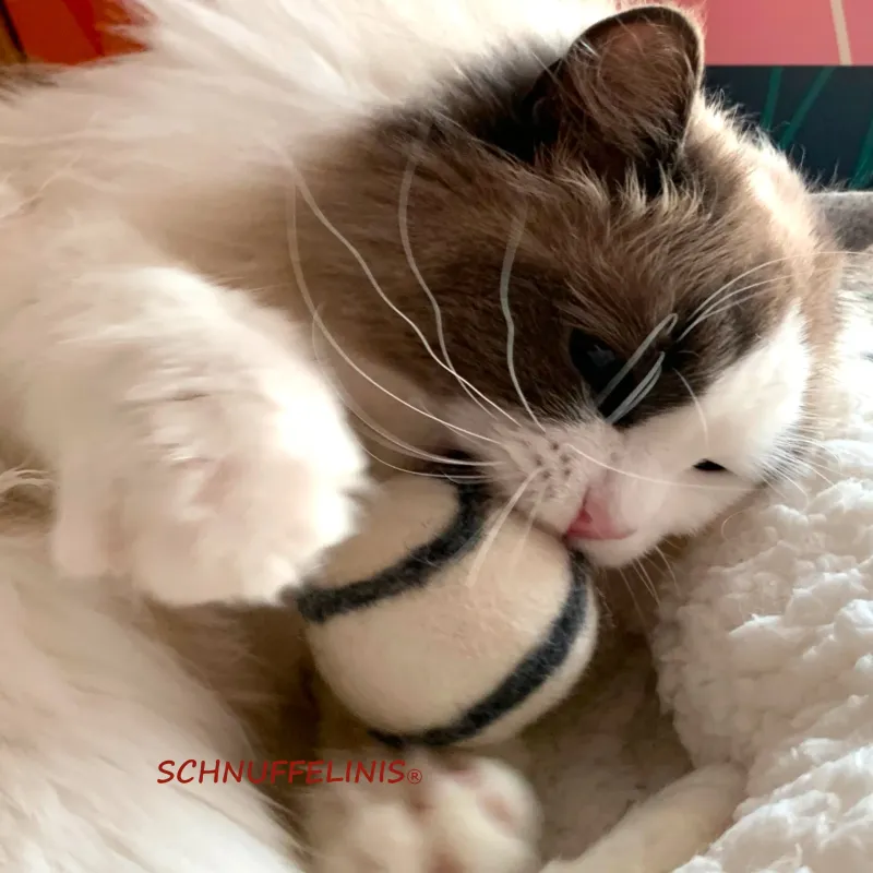 Filzkugeln Katzenminze, Katzen Spielball Minze, Cat nip Filzkugeln