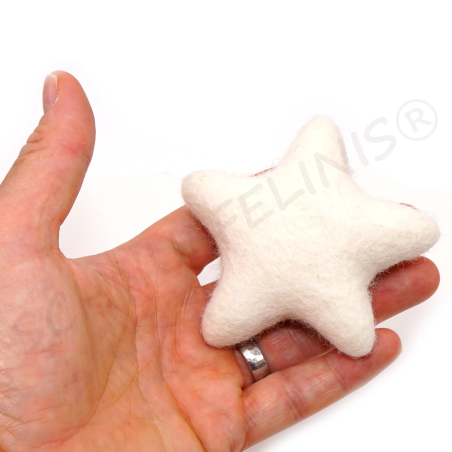 Filzstern 1aus Filzwolle XXL 8cm