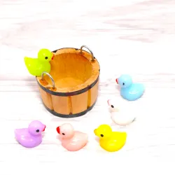 6 couleurs différentes pour les  canards de bain  au choix, Canard