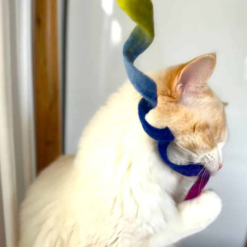 Katzenspielzeug, Spielzeug Katzenschnur aus Filz, Filz für Katzen Katzenspielzeug, Spielzeug Katzenschnur aus Filz, Filz für Katzen
