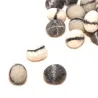 Felt stones river pebbles set of 5, River pebbles,