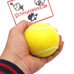 Filzkugeln Tennisball Sport, Bälle Hund, Tennis Spielball Gummifrei