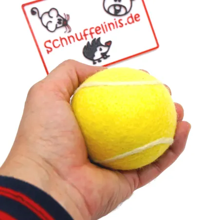 Filzkugeln Tennisball Sport, Bälle Hund, Tennis Spielball Gummifrei