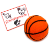 Felt balls sport cats, children & dogs XL