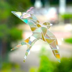 Bird suncatcher rainbow
