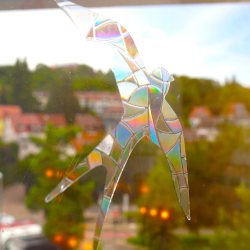 Sonnenfänger Schwalbe Vögel