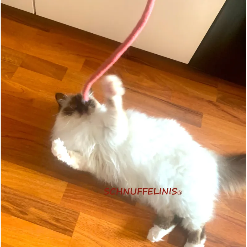 Giocattolo per gatti spirale KiMo in feltro, i gatti amano il feltro Giocattolo per gatti spirale KiMo in feltro, i gatti amano il feltro