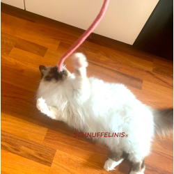 Cat toy felt cords KiMo 1
