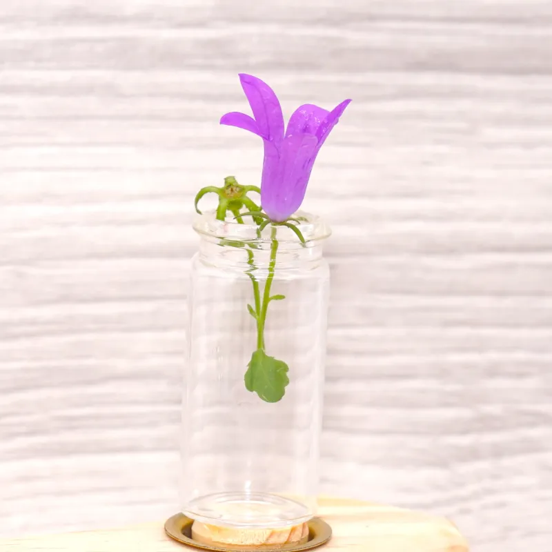 Vase aus Glas Mini, Miniatur Wichtel Glas, Mini Vase hohe Bodenvase