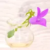 Vase aus Glas Mini, Miniatur Wichtel Glas, Mini Vase runde Vase