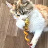 felted cat toy, mobile strings, toys for cats