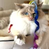 felted cat toy, mobile strings, toys for cats