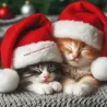 Calendrier de l'Avent pour chats, Calendrier de l'Avent, de l'Avent chats