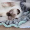 Filzspirale Katzenspielzeug XL