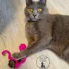 Jouets pour chats en feutre Jolly Spirale,  les chats adorent feutre