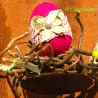 Easter eggs, felted eggs, Easter egg, XXL eggs