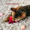 felted cat toy, felted swirly strings, toys for cats, Cat toys