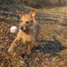 Baseball Original 7,4cm große Filzbälle