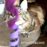 Jouets pour chats, ficelle pour chat en feutre, feutre pour chats