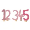 Birthday rings rose pink number set 1-5 plug-in figure Grimms numbers