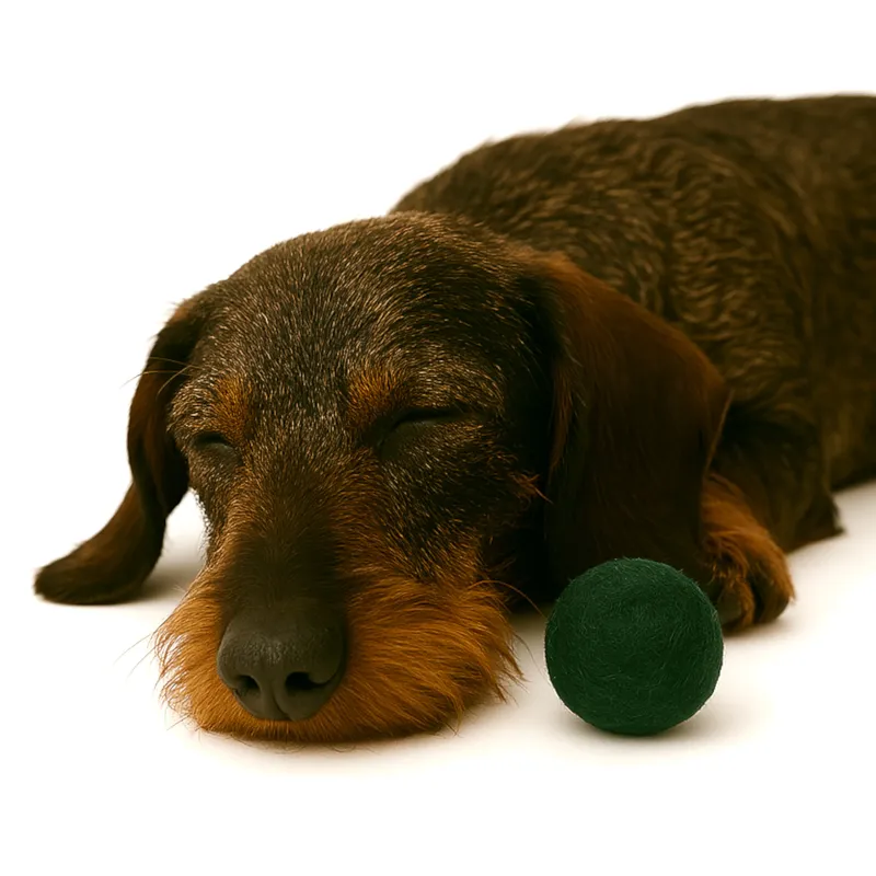 Retrieving felt ball for dogs, dog toy washable quality from Stuttgart Retrieving felt ball for dogs, dog toy washable quality from Stuttgart