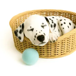 Retrieving felt ball for dogs, dog toy washable quality from Stuttgart