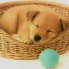 Retrieving felt ball for dogs, dog toy washable quality from Stuttgart