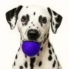 Balles de feutre pour chiens, laine de feutre chien joue