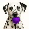 Palle di feltro per cani, feltro di lana cani, feltro per cani