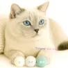 Balles de jouets pour chats, 4cm Balles de feutre chat avec odeur