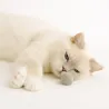 Katzenspielzeug Filzbälle, Filzkugeln Spielzeugbälle, 4cm Filzbälle Katze