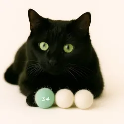 nostre palline di feltro deliziano i gatti con il loro profumo naturale