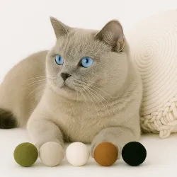 Katzenspielzeug Filzbälle, Filzkugeln Spielzeugbälle, 4cm Filzbälle Katze
