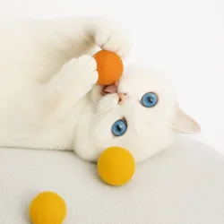 Balles de jouets pour chats, 4cm Balles de feutre chat avec odeur