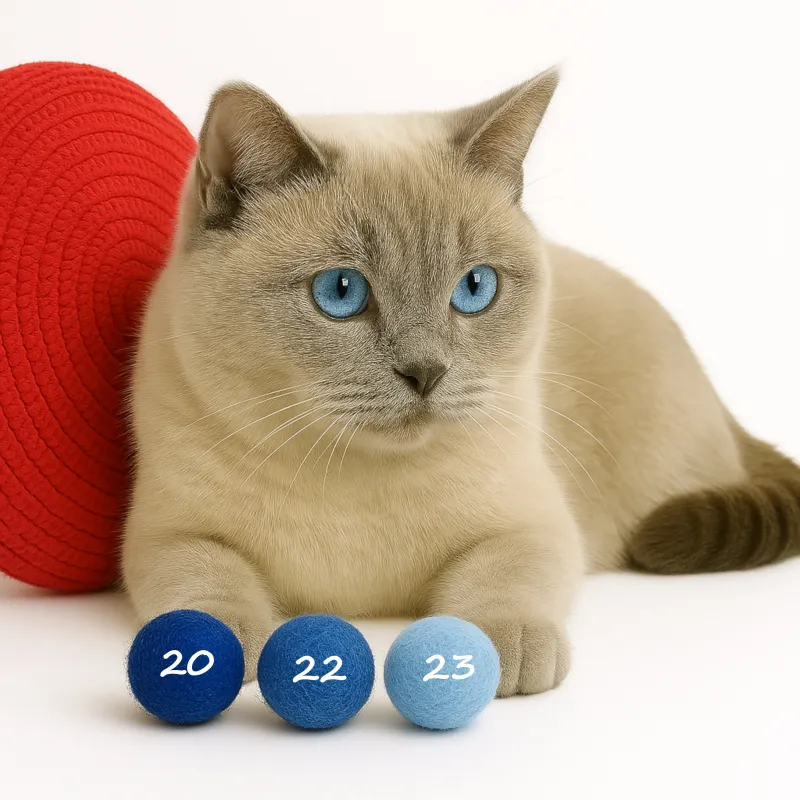 Balles de jouets pour chats, 4cm Balles de feutre chat avec odeur Balles de jouets pour chats, 4cm Balles de feutre chat avec odeur