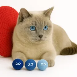 Balles de jouets pour chats, 4cm Balles de feutre chat avec odeur