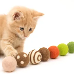 nostre palline di feltro deliziano i gatti con il loro profumo naturale